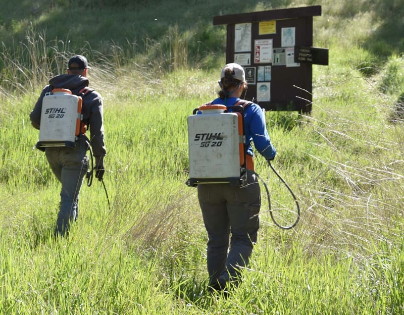 Herbicides are used for invasive plant and noxious weed control in national forests. Credit: U.S. Forest Service.
