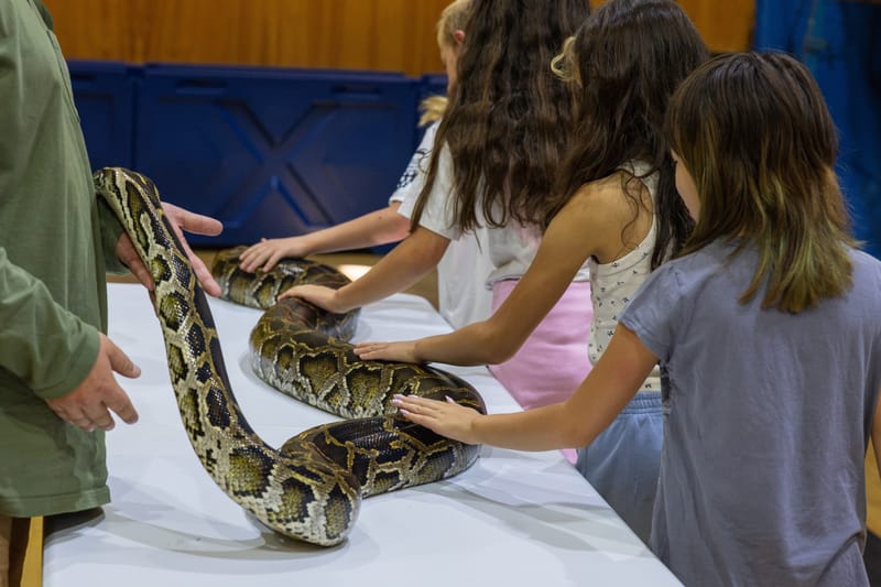 Hands-on with the python.