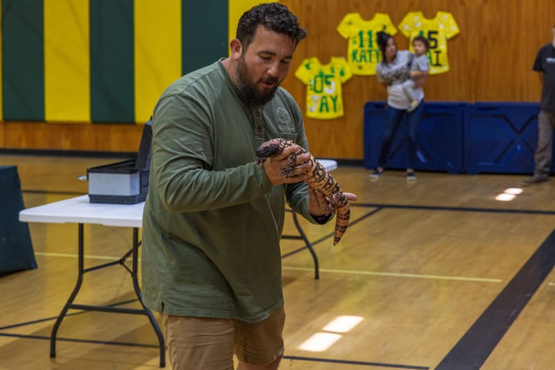Smaug, a Gila monster from Arizona.