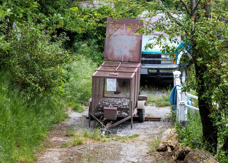 A baited black bear trap was placed at a residence after multiple recent break-ins