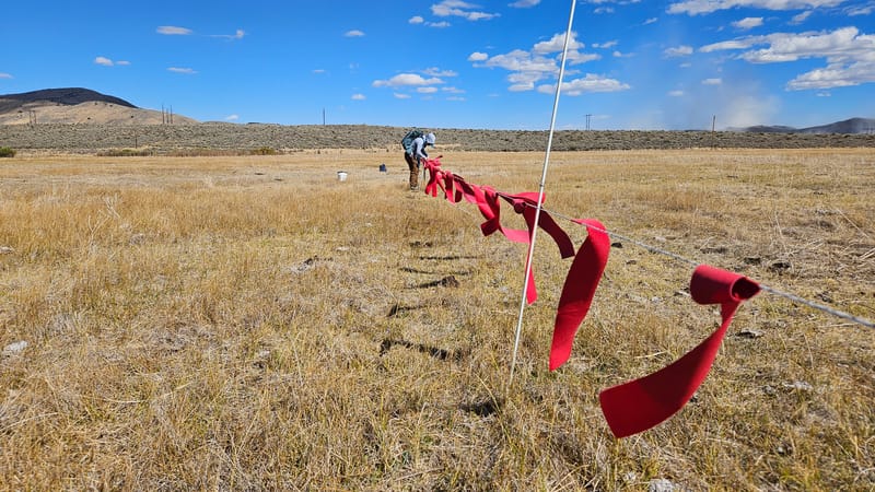 State Conservancy Plans $100,000 Wolf Coexistence Outreach Grant