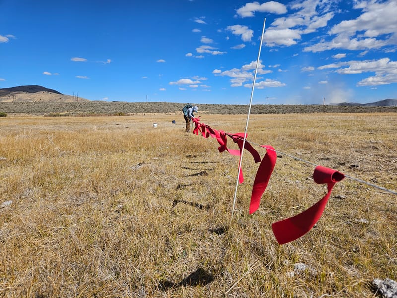 Fladry, shown being installed here, is one tool used to deter wolves from entering ranches.