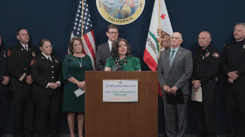 Senator Marie Alvarado-Gil speaks during a press conference on Tuesday. Credit: California Senate Republicans.