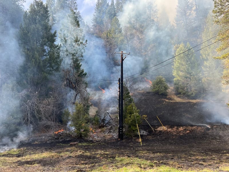 A power pole was scorched by the fire, causing service disruptions