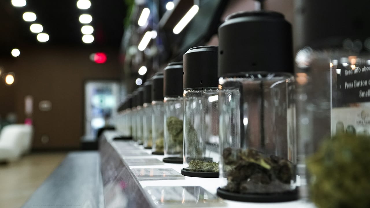 Nevada County Sets Minimum Scores for Cannabis Store Applicants | The ...