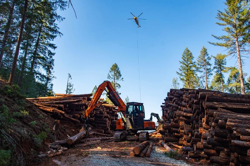 Logging work in the agreement area.
