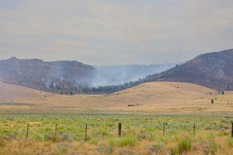 Smoke rising from the Elephant Fire near Highway 49 at the Sierra-Plumas County border at noon on Monday.