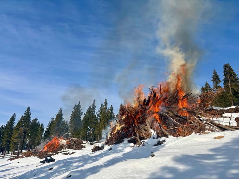 A photo shared by the Tahoe National Forest last week of Ladybug Project pile burning operations.