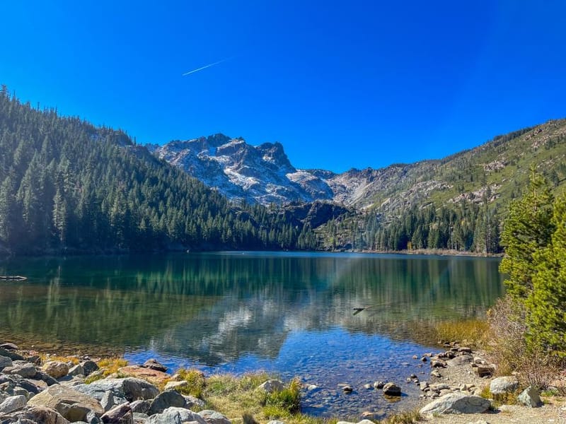 The North Yuba watershed is home to several communities and supports a booming recreation economy. The average visitor here often admires the dense forest and deep green timber-heavy mountainsides. To land managers, the overstocked condition of the forest is a public safety crisis. (Forest Service image)