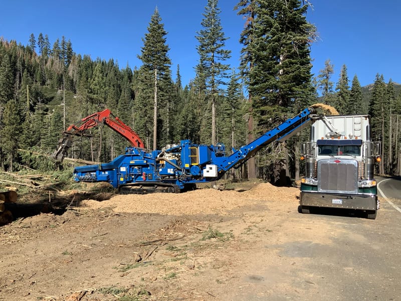 The North Yuba Landscape Resiliency Project is one of many attempts to reduce wildfire risk in the Sierra County region. Pictured is logging work done in 2023 near Yuba Pass.