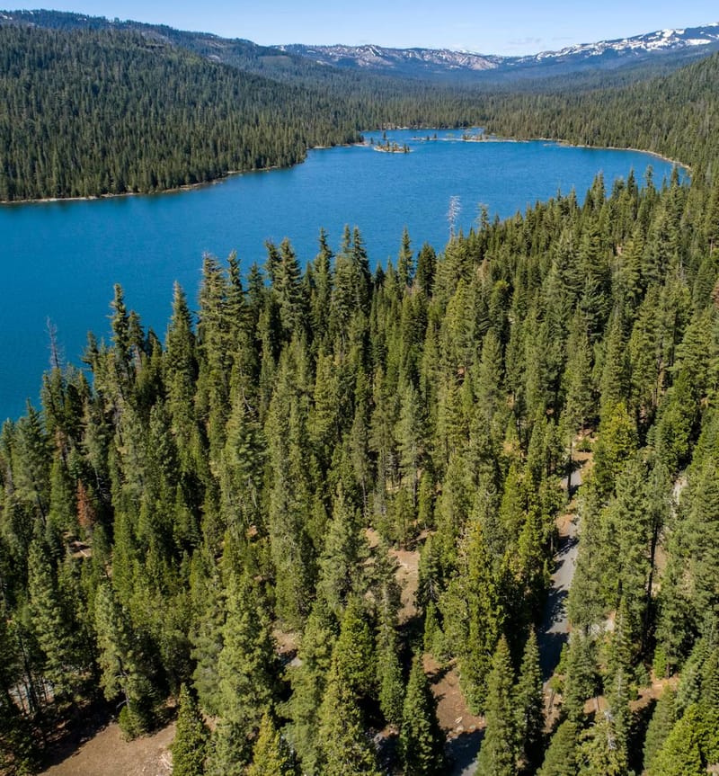 An aerial view of French Meadows Campground, where day use and campsite fees face proposed increases. Photo: Placer County Water Agency.