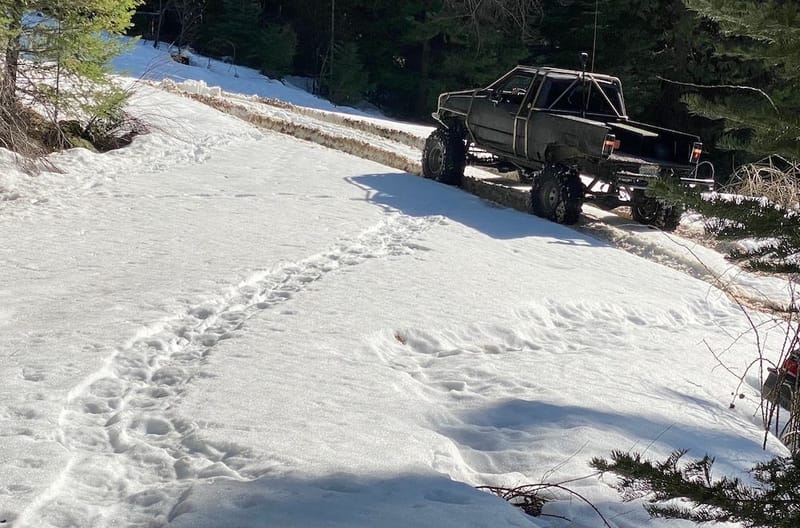 Lynn's Snow-capades:  Snowmageddon 2023, the Finale (Part 2 of 2)