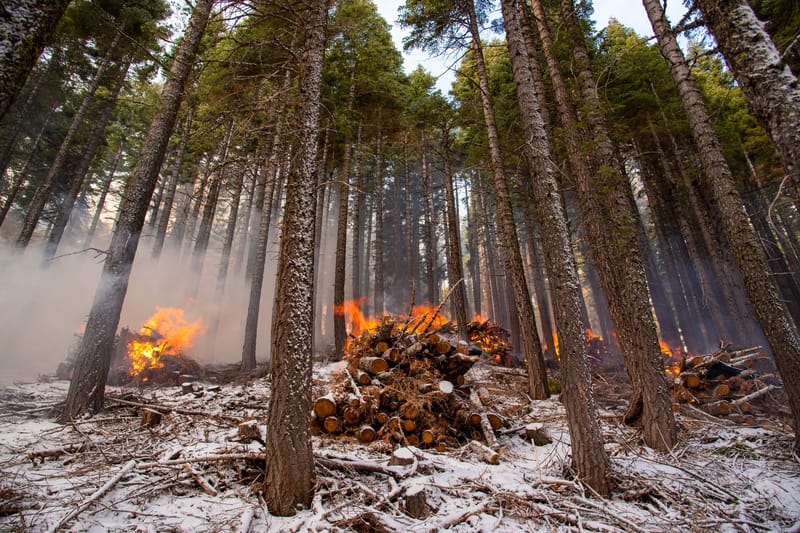 Pile burning – one of the many techniques used to reduce fuels in the Tahoe National Forest.