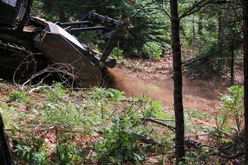 Town Hall to Detail Deer Creek Canyon Fuels Work