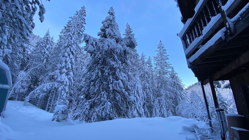 Lynn's Snow-capades:  How I Survived Snowmageddon 2023,  Part 1