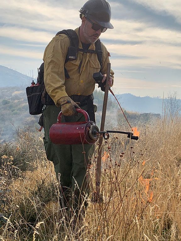 Close-up of a firefighter lighting a prescribed burn near Concow.