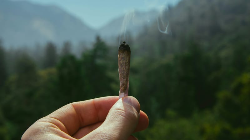 Plumas Workshop to Consider Retail Cannabis Ordinance