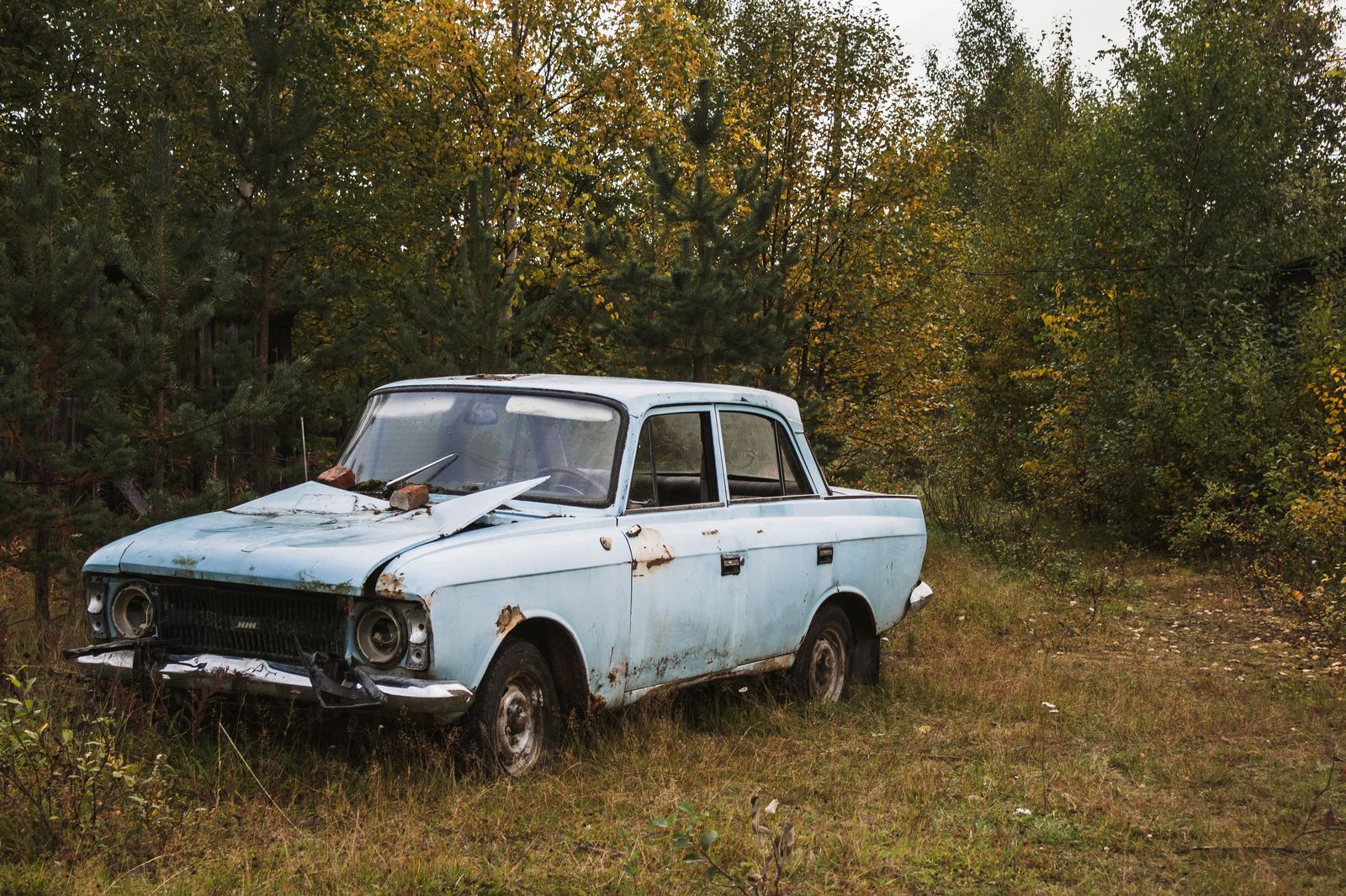 An abandoned vehicle in a forest.