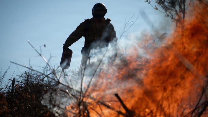 Forest and Fire Bills Await Decisions From Newsom