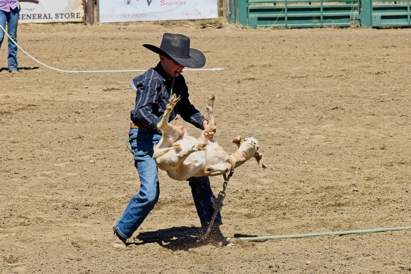 Clayton Nuttall of Vina in Goat Tying.