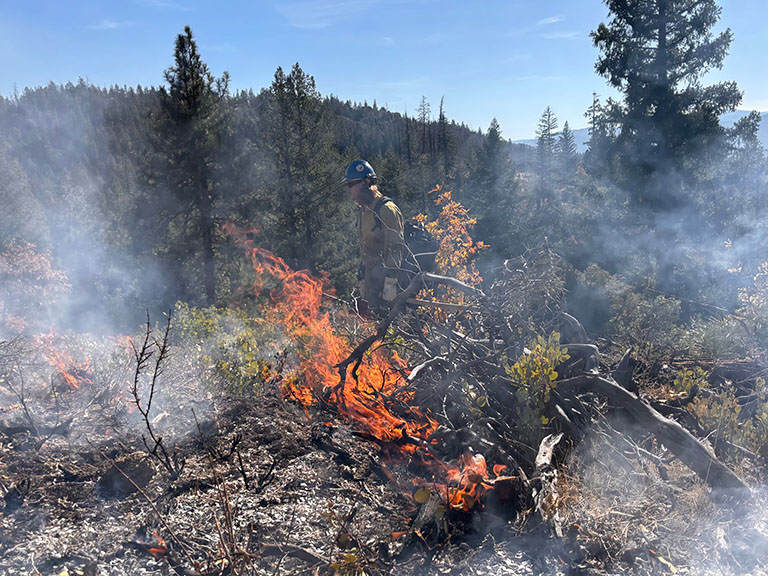 Plumas Forest Begins Prescribed Burns to Reduce Wildfire Risk