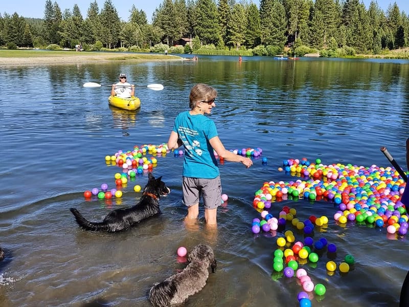 The Retriever’s Ball at the Graeagle Mill Pond.