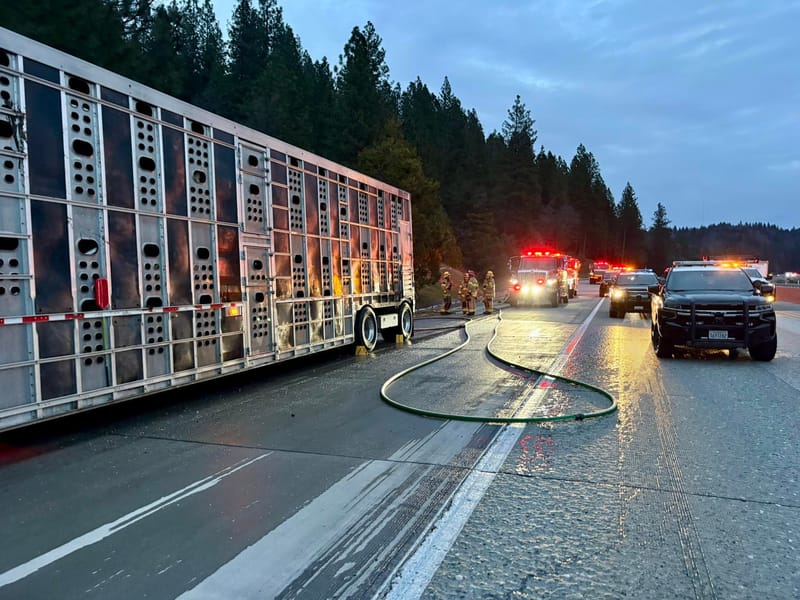 Cal Fire shared this photo of the affected cattle truck after the fire had been extinguished.