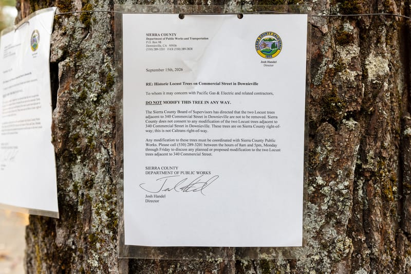 Letters signed by Public Works Director Josh Handel and attached to the trees instruct PG&E and its contractors not to remove or modify them.