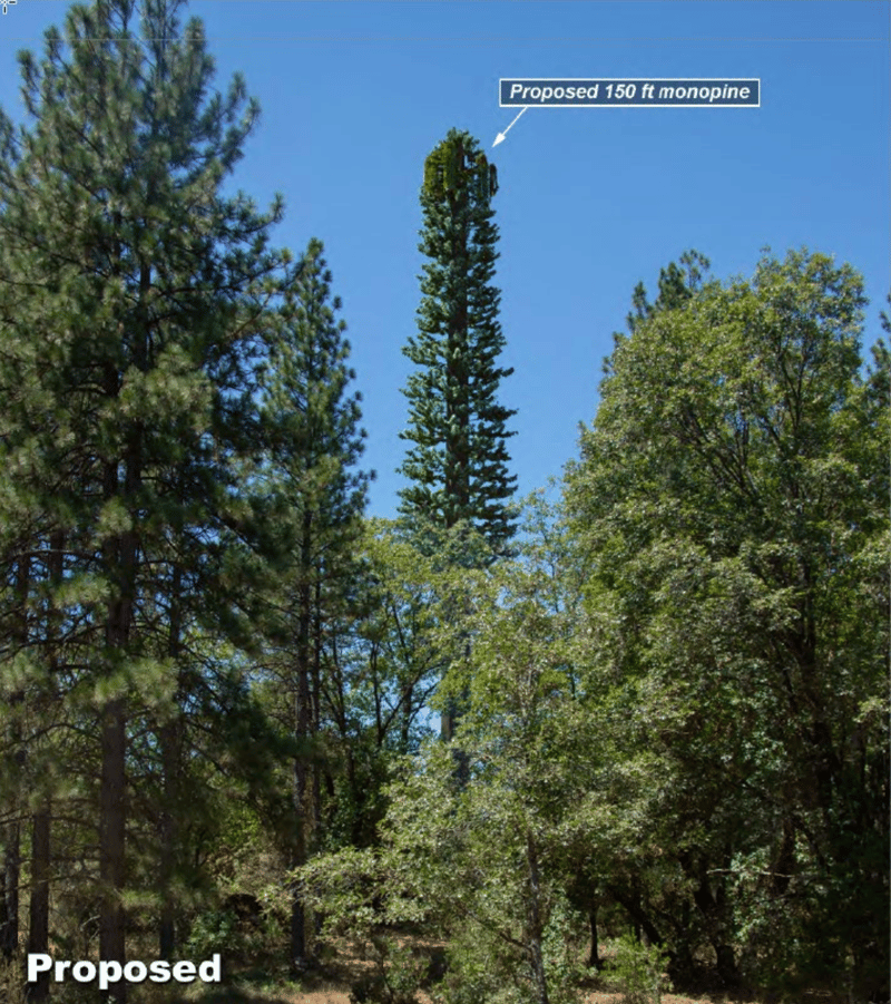 A simulation of the proposed “monopine” cell tower.