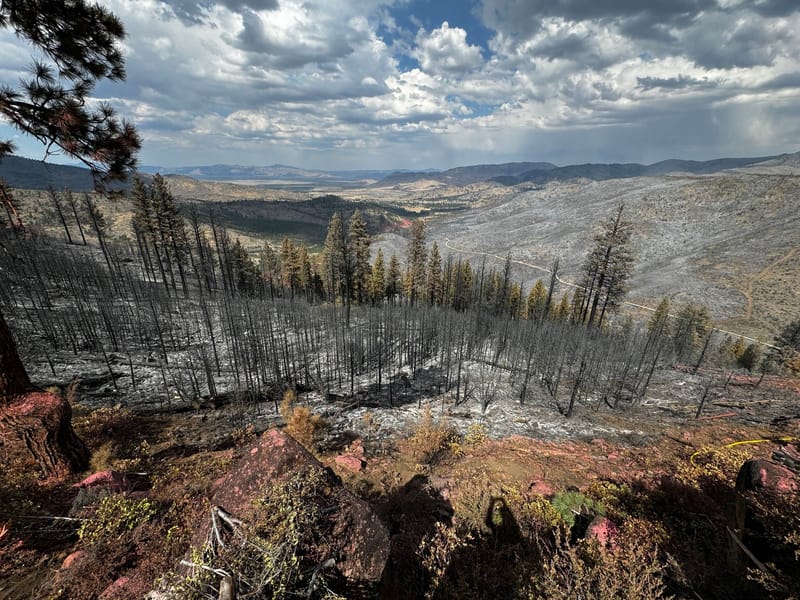 Sierra City Firewise Forum Highlights Insurance Crisis