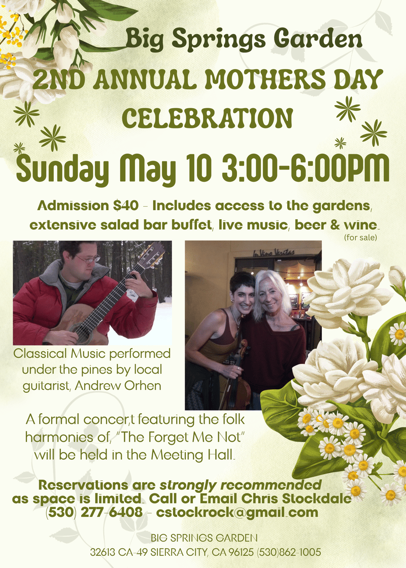 Big Springs Mothers Day Celebration poster.