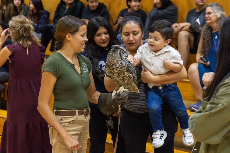 Nova allows assembly-goers to feel her feathers.