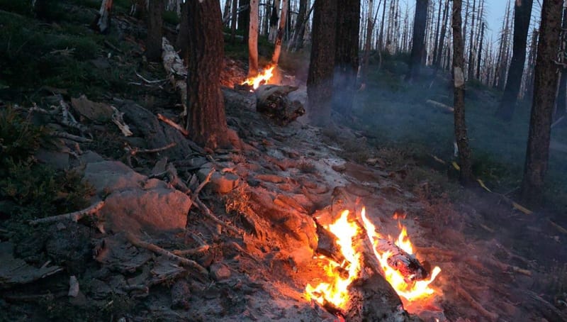 Eight Lighting Fires in Plumas National Forest Contained