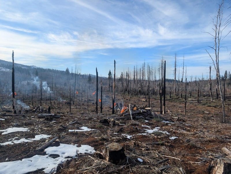 An image of pile burns conducted last week shared by the Plumas National Forest.