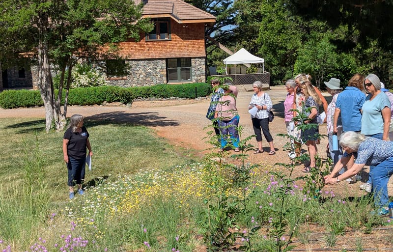 North Star House Gardens Weave History into Horticulture