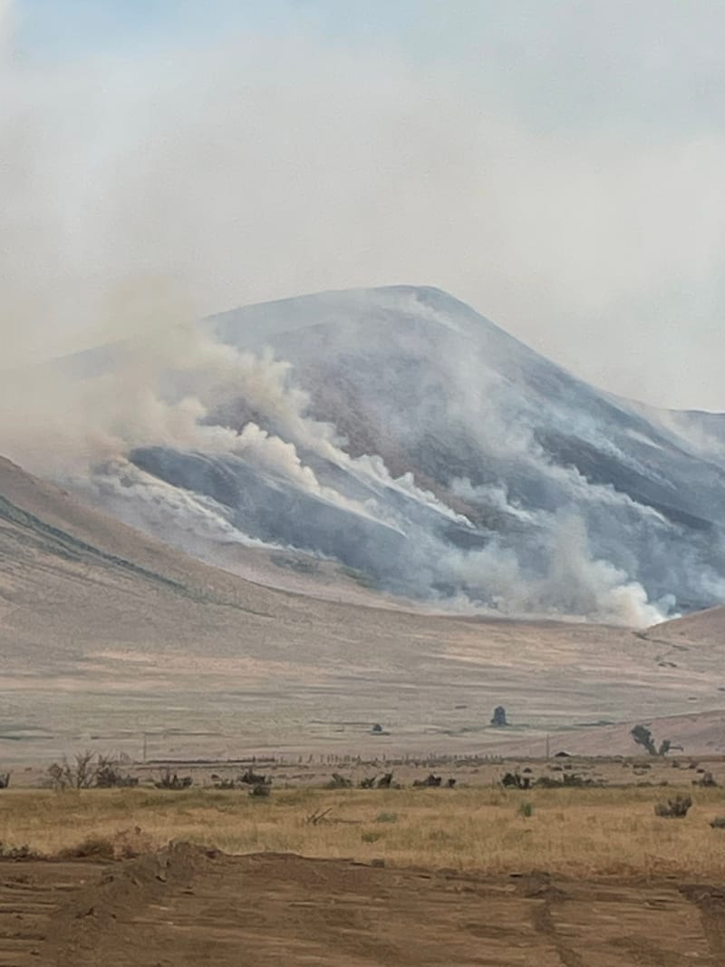 The Elephant Fire burns near Loyalton. Photo: Dana Loomis.