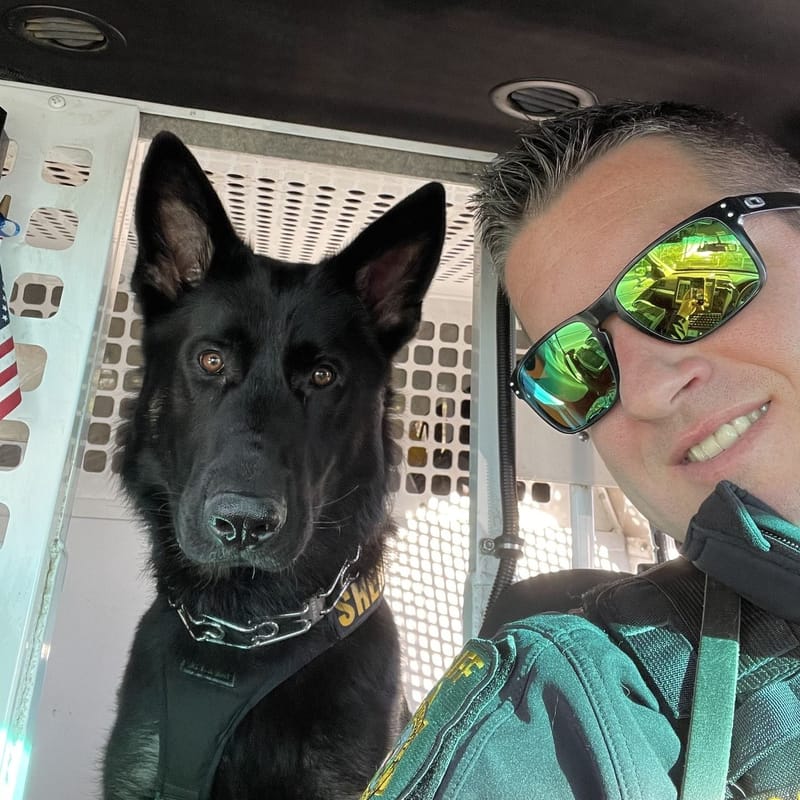 K9 Apollo with his handler, Deputy Hellam. Credit: El Dorado County Sheriff’s Office.