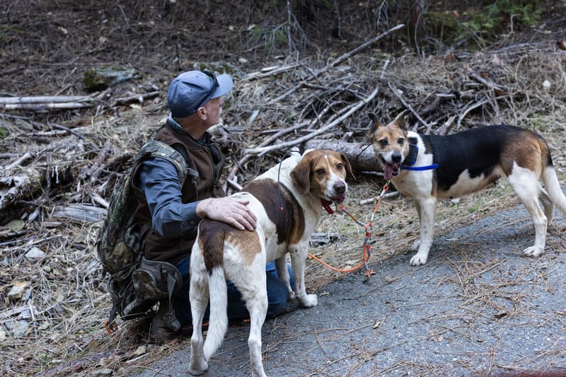 Jim Kincaid and his hounds from the US Department of Agriculture Wildlife Services