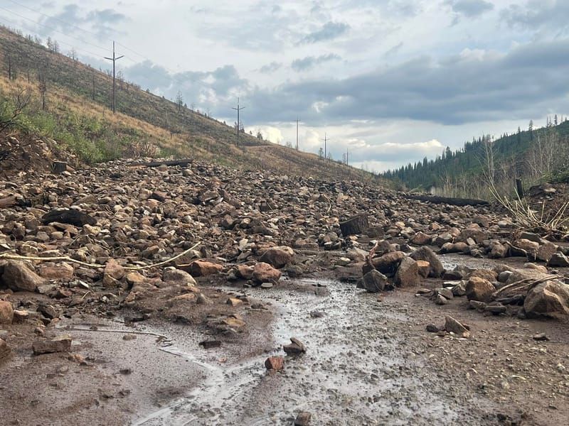 The Sierra County Sheriff’s Office shared this picture of a slide on Smithneck Road last week.