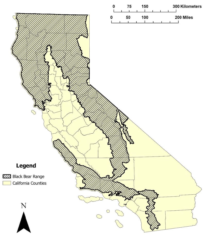An updated black bear range map was developed in 2024 using local CDFW biologists’ feedback, verified records from iNaturalist and the Global Biodiversity Information Facility, and US Forest Service Data.