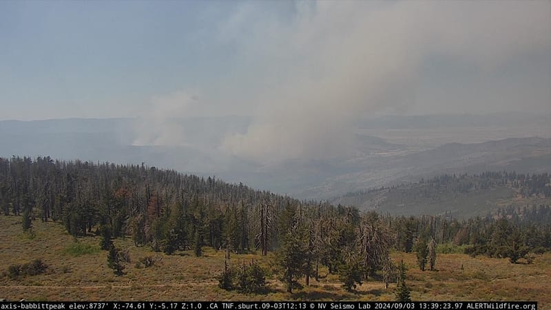 View of the Bear Fire from Babbitt Peak at 1:39 PM. Image from ALERTCalifornia.