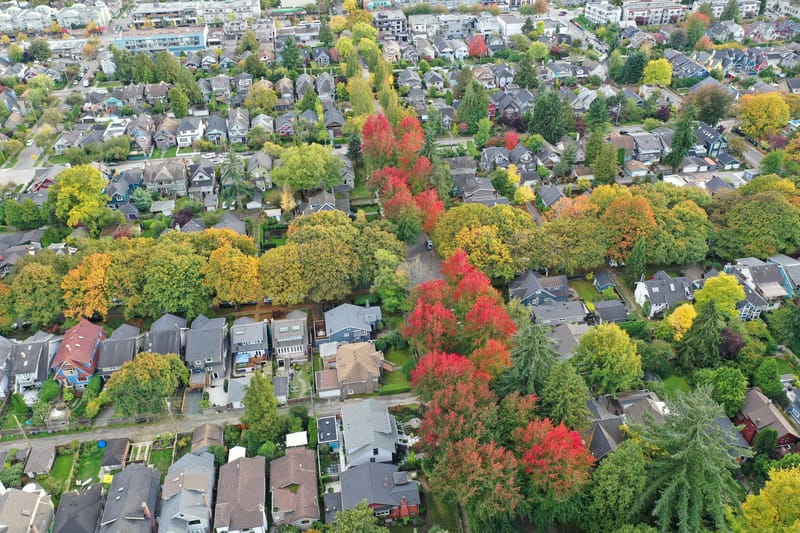 The plan aims to increase the number of trees planted in urban areas.