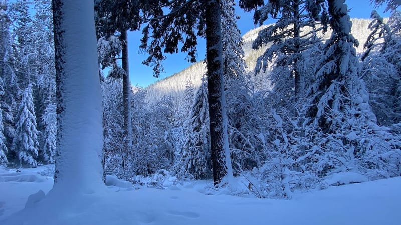 Lynn's Snow-capades:  Snowmageddon 2023, the Finale (Part 1 of 2)