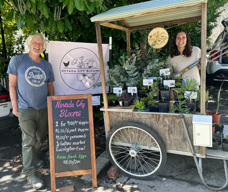 Leo and Rebecca and their pop-up garden cart.