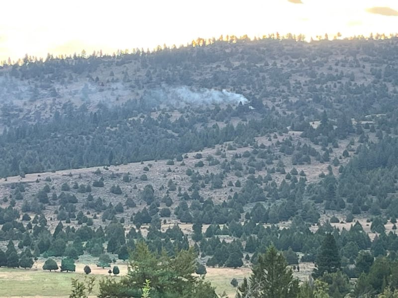 A photo of the Newman Fire shared by the Sierra County Sheriff’s Office.