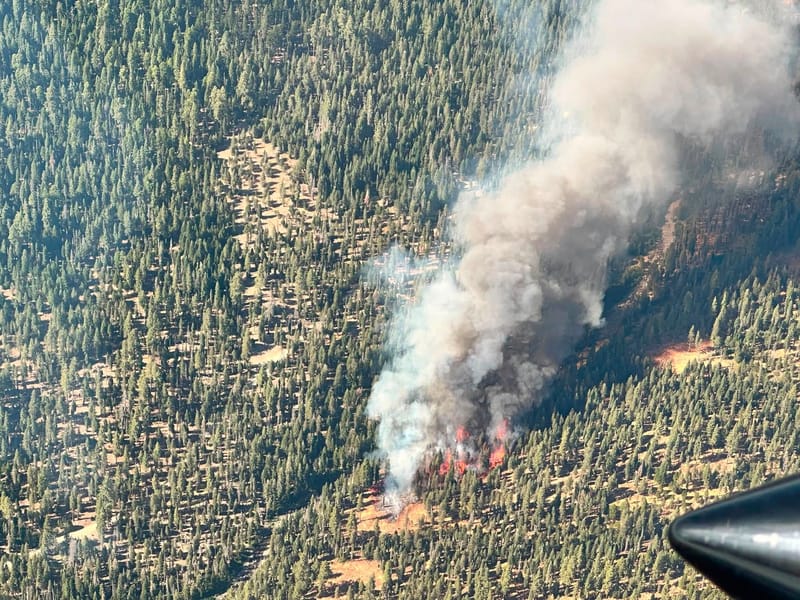 The early stages of the Talbot Fire on August 12.