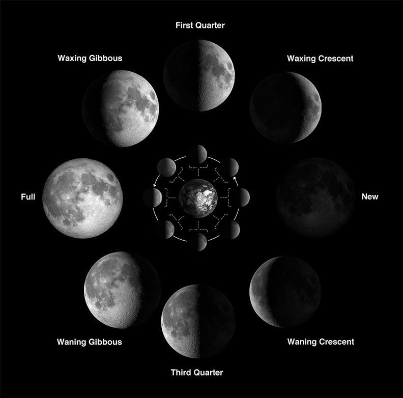 In the diagram, above, the Sun is assumed to be far off to the right, the inner circle shows the positions of the Moon, seen from above Earth’s North Pole, corresponding to the phases of the seen from Earth as shown on the outer circle.  Image: NASA